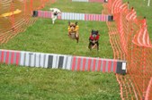Enlarge photo 328