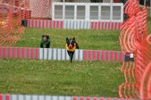 Enlarge photo 332
