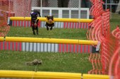 Enlarge photo 335
