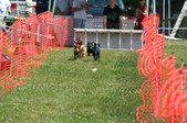 Enlarge photo 369
