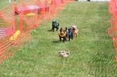 Enlarge photo 372