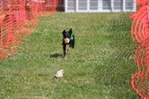 Enlarge photo 378
