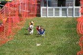 Enlarge photo 386