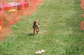 Enlarge photo 391