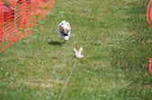 Enlarge photo 394