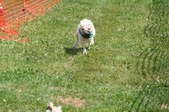 Enlarge photo 397