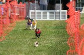 Enlarge photo 398