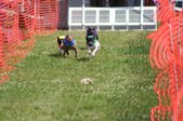 Enlarge photo 402