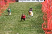 Enlarge photo 409