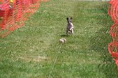Enlarge photo 649