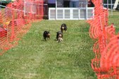 Enlarge photo 413