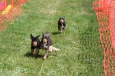 Enlarge photo 419