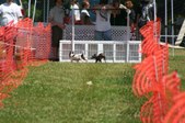 Enlarge photo 659