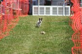 Enlarge photo 660