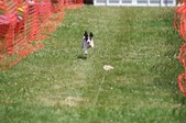 Enlarge photo 663