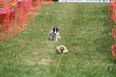 Enlarge photo 662
