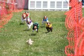 Enlarge photo 429