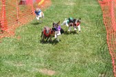 Enlarge photo 441