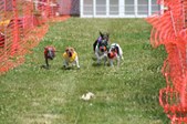 Enlarge photo 444