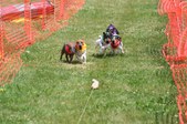 Enlarge photo 446