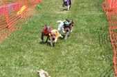 Enlarge photo 448