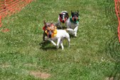 Enlarge photo 449