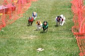Enlarge photo 451
