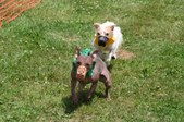 Enlarge photo 465