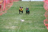 Enlarge photo 474