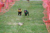 Enlarge photo 475