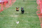 Enlarge photo 476