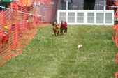 Enlarge photo 482