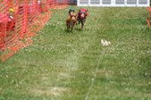 Enlarge photo 480