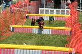 Enlarge photo 492
