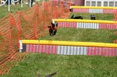 Enlarge photo 497
