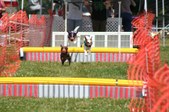 Enlarge photo 508