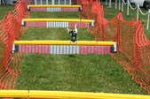 Enlarge photo 518
