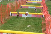 Enlarge photo 517
