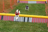Enlarge photo 523