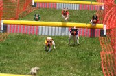 Enlarge photo 528