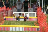 Enlarge photo 532