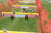 Enlarge photo 535