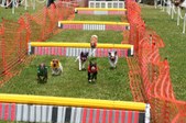 Enlarge photo 534