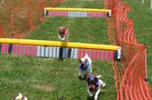 Enlarge photo 539