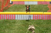 Enlarge photo 537