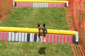 Enlarge photo 542