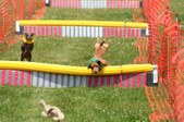 Enlarge photo 544