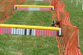 Enlarge photo 548
