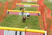 Enlarge photo 552