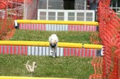 Enlarge photo 557